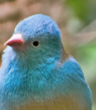 Vaata meie töötubasid