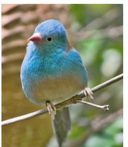 Vaata meie töötubasid